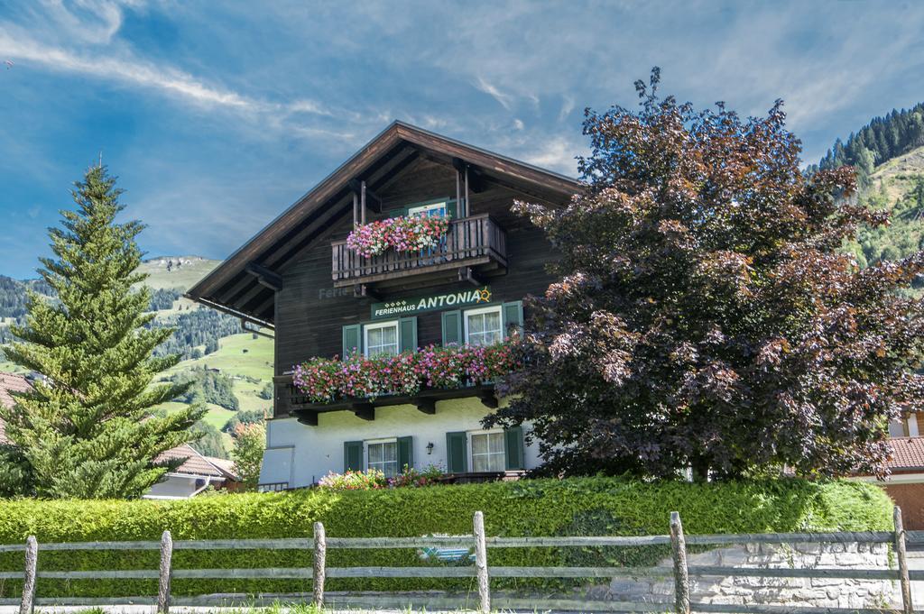 Ferienhaus Antonia ดอร์ฟกาชไตน์ ภายนอก รูปภาพ